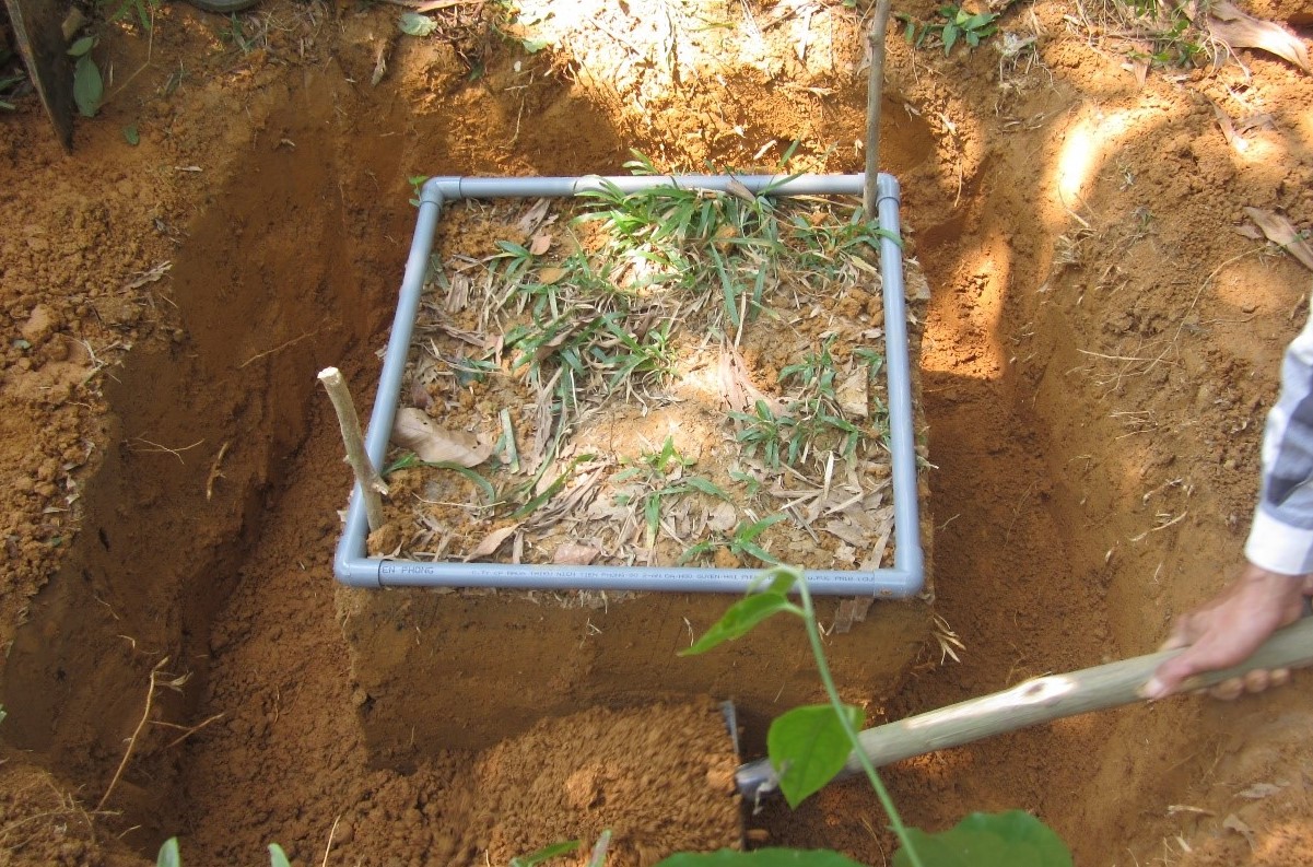 thumbnail of  Agroforestry reconciles earthworm diversity and livelihoods in Viet Nam