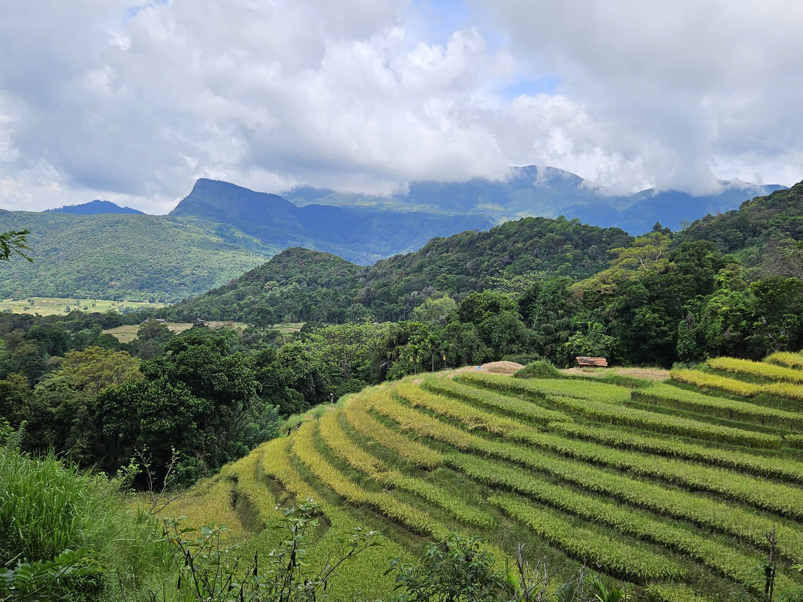 thumbnail of  Systematic soil and land health assessment to climate-proof Sri Lanka’s ecosystems