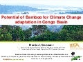 thumbnail of  Potential of Bamboo for Climate Change adaptation in Congo Basin