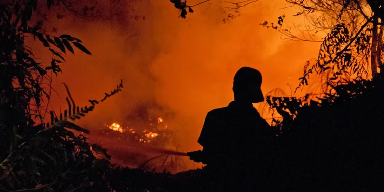 thumbnail of  A perfect storm: Fire, haze and a global health crisis