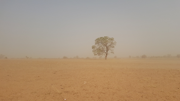 thumbnail of  How to monitor ecosystems-based adaptation