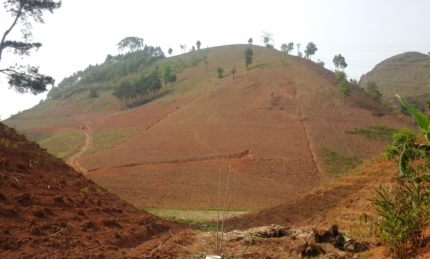 thumbnail of  Agroforestry can enhance Viet Nam’s ambition for its Nationally Determined Contribution