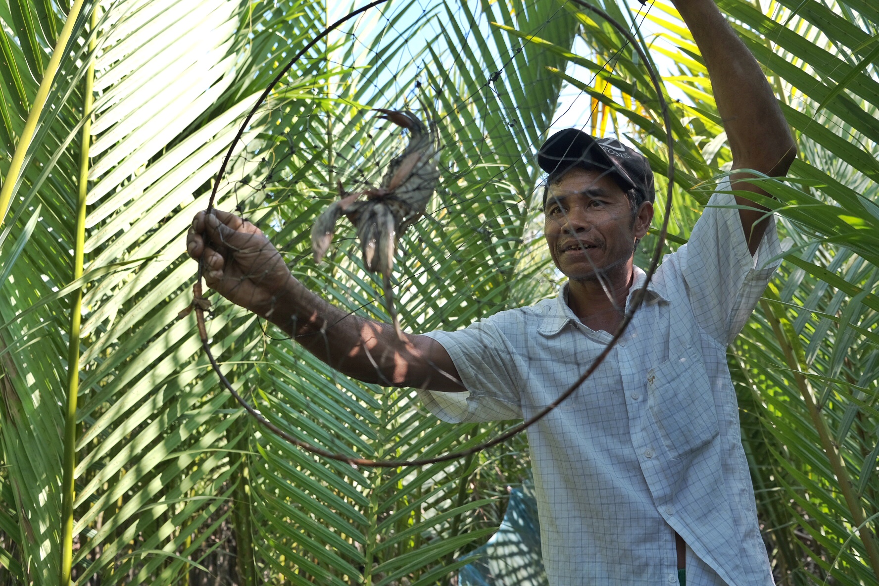 thumbnail of  How do you feel about agroforestry?