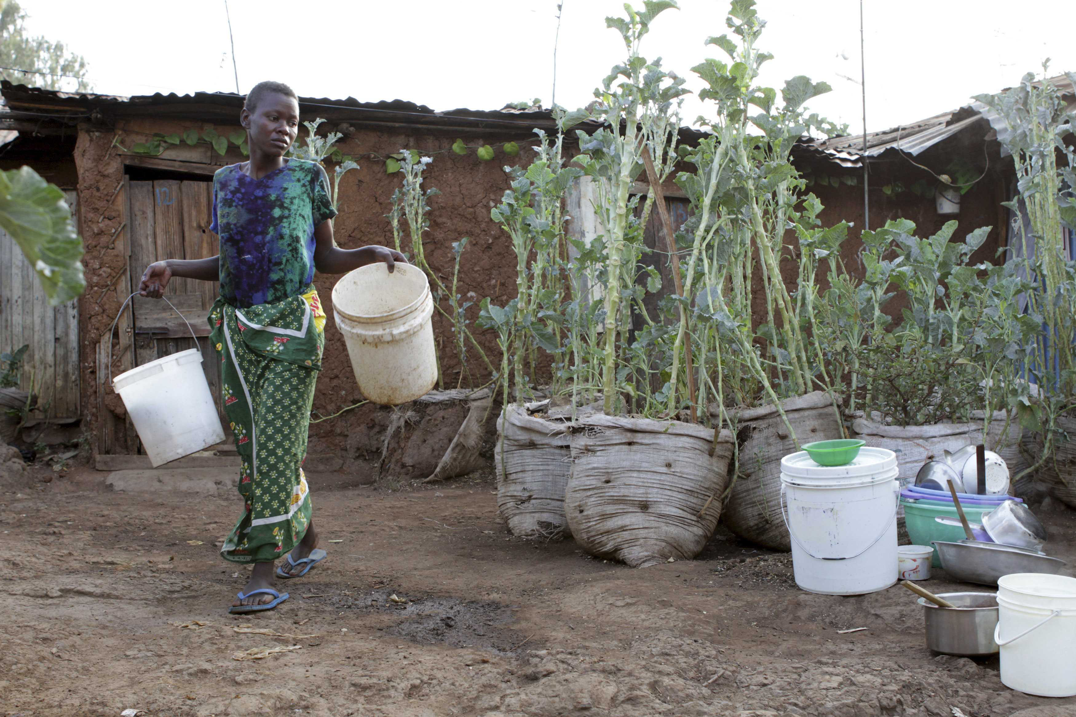 thumbnail of  Diet crisis in Africa’s low income urban zones but transition to nutritious foods possible