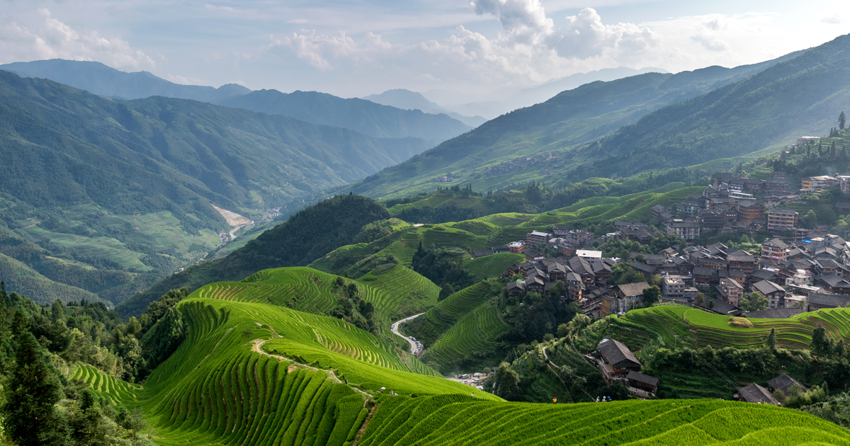 Transformative Partnership Platforms