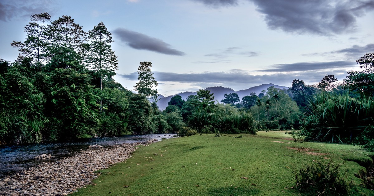 Engagement Landscapes