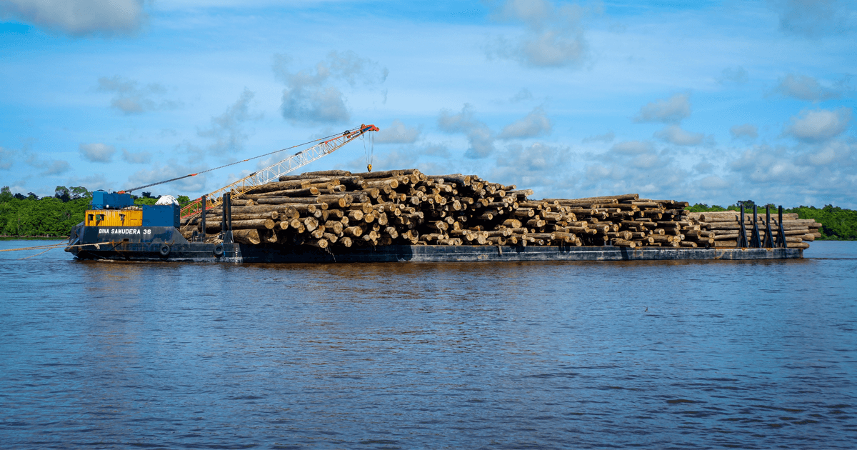 Finance, trade and investment