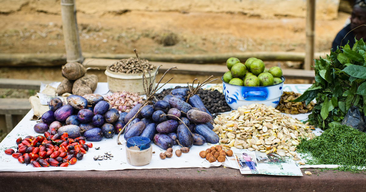 Food security and nutrition