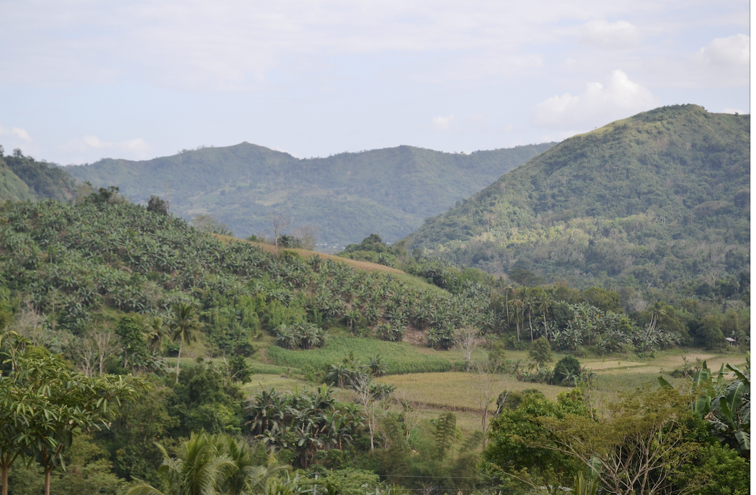 thumbnail of  Science and tradition: how indigenous communities manage forests
