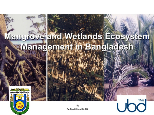 thumbnail of  Mangrove Wetlands Ecosystem Management in Bangladesh