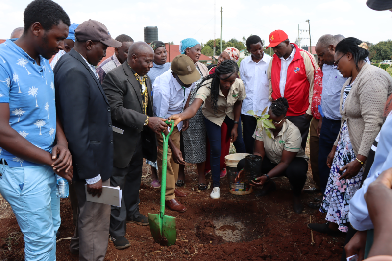 thumbnail of  Empowering farmers on climate-smart farming practices to boost avocado productivity and profitability in Central Kenya