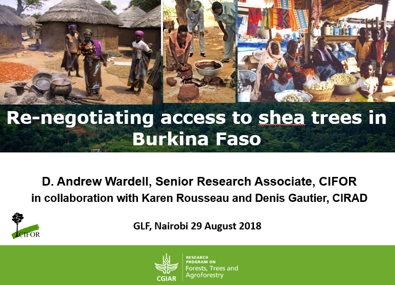 thumbnail of  Re-negotiating access to shea trees in Burkina Faso