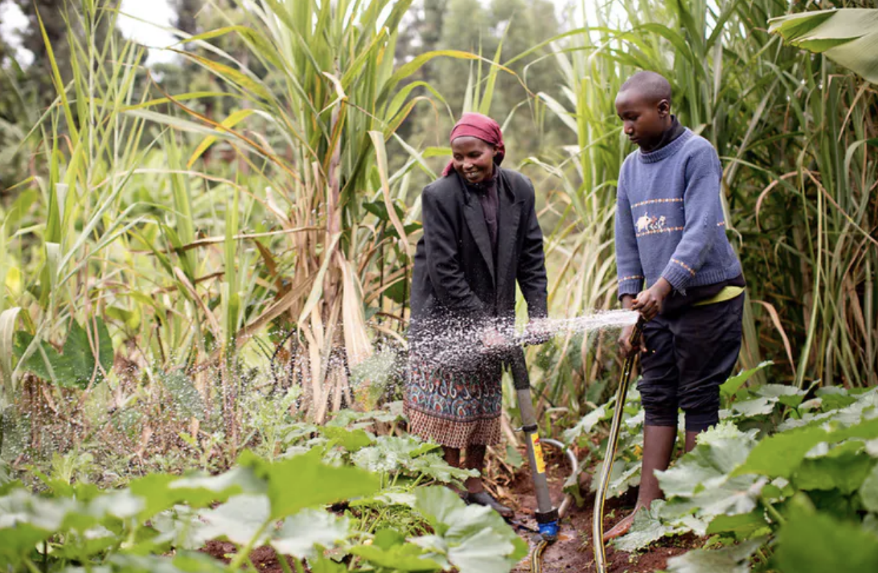 thumbnail of  Not just farmers: understanding rural aspirations is key to Kenya's future