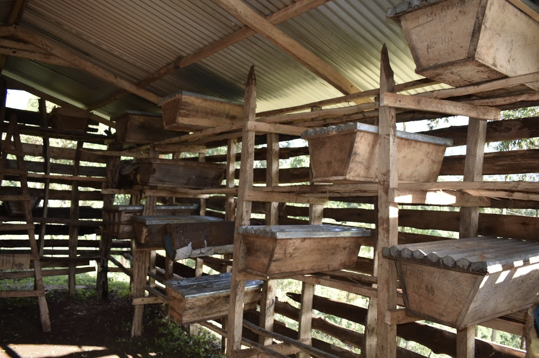 thumbnail of  Innovation platforms sweeten milk and honey value chains