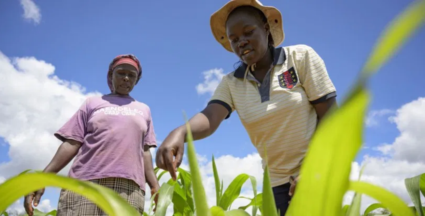 thumbnail of  Agroforestry ‘basins’ stir up big benefits for women in Kenya drylands