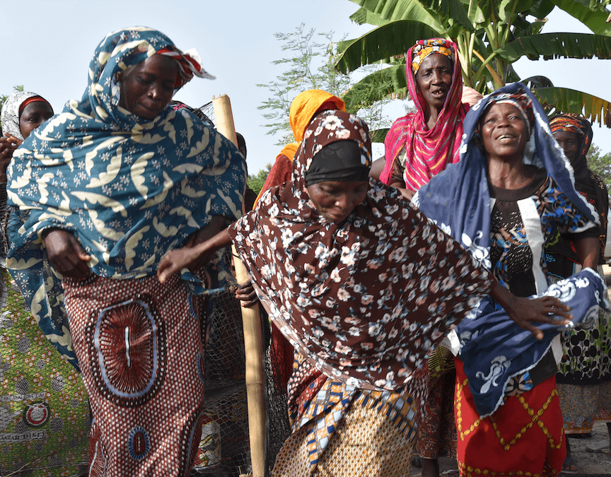 thumbnail of  ‘The sun tires our cocoa’: communities welcome half a million companion trees in Côte d’Ivoire